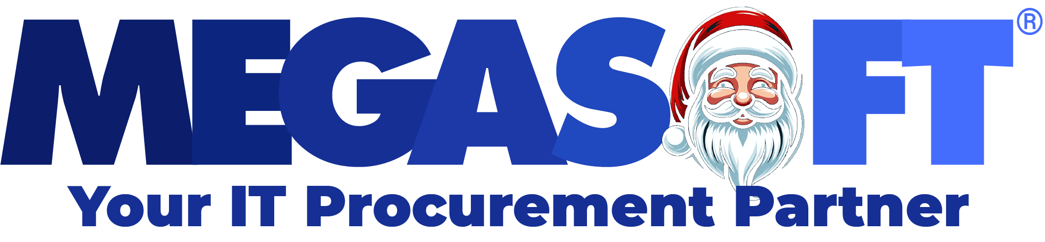 megasoft IT GmbH & Co. KG
