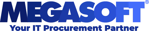 megasoft IT GmbH & Co. KG